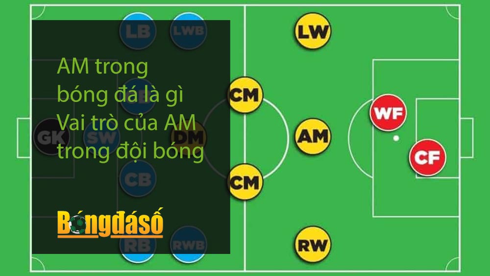AM trong bóng đá là gì - Vai trò của AM trong đội bóng