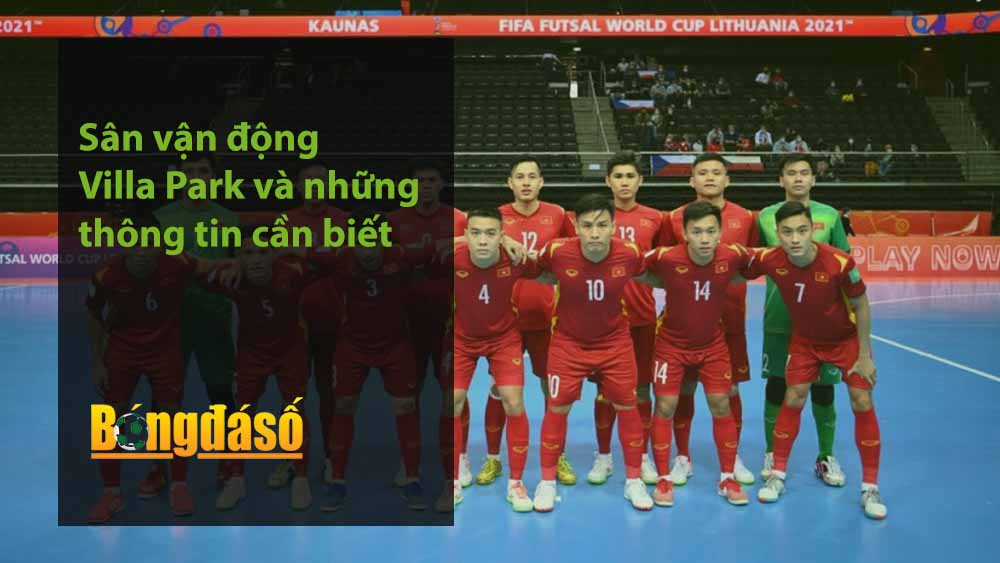 Các vị trí trong bóng đá 5 người - Tìm hiểu nhiệm vụ vai trò