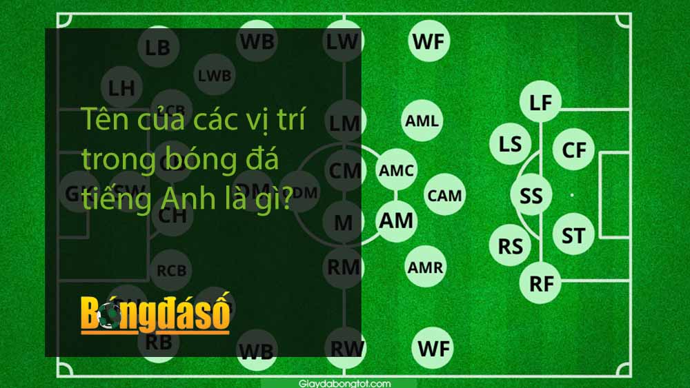 Tên của các vị trí trong bóng đá tiếng Anh là gì?